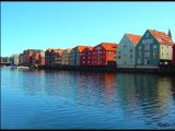 photo Les reflets de skogtroll