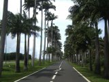 Sur la route - Photo d'Alexvodou