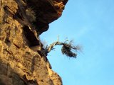 Les arbres - Photo de Willou