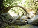 Les ponts - Photo de Willou
