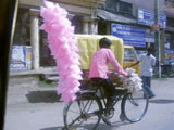 Moyen de transport indien