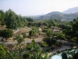 Les parcs ou jardins - Photo de Ellen