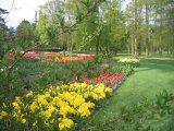 PARIS : Parc floral de Vincennes