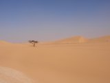 photo Le bout du monde de serrafran