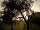 photo  de paulvanackere