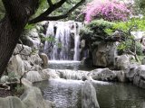 Chinese Garden - Sydney