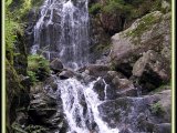 Les chutes d'eau - Photo d'Olivierp54