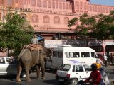 Jaipur, Inde (Rajasthan) 2008