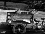 photo  de Titibus