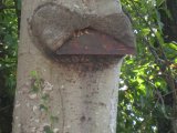 photo Insolite de manon4434