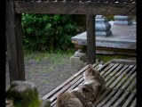 photo Insolite de mnlaurent