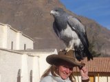 Insolite - Photo de Charlotte.geo