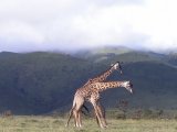 photo Insolite de titivoyage