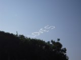 Insolite - Photo de Guena
