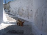 photo Les escaliers de balaclava