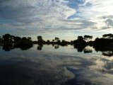 Les reflets - Photo de Oubea