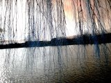 Les reflets - Photo de Athena