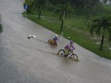 http://www.fou-de-voyage.com/photo/concours/20110601687-la-pluie.jpg