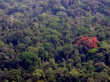 photo Voyage vu du ciel de pistolero