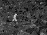 photo Les vieilles pierres de Mekhtiev Igor