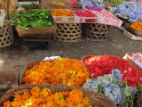 Couleur Orange - Photo de Carlavie