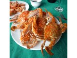 photo Couleur Orange de quisco