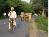http://www.fou-de-voyage.com/photo/concours/20120201455-sur-la-route.jpg