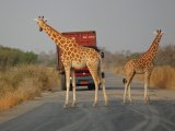 photo Sur la route de Photo55
