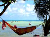 Martinique - Pointe de la Faula devant les Fonds Blancs. Qu'il est doux de ne rien faire