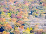 Les arbres - Photo de Ze Voyageur