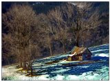 photo Les arbres de ellge