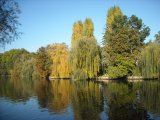 Paysage bucolique de Moret Sur Loing (77)