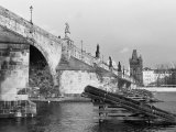 photo Les ponts de Daniel-16