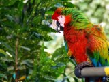 photo Les animaux de Ephraim