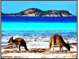 Les animaux - Photo de Klm