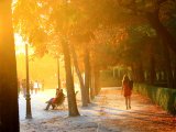 photo Couleur jaune de Aymrian
