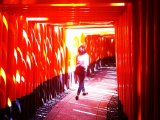Photo prise au sanctuaire Fushimi Inari de Kyoto. La jeune fille ne pose pas, elle marchait simplement en observant le ciel au travers des toriis rouges.