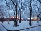 photo Le froid de pascalg
