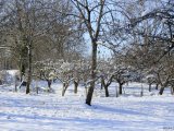 photo Le froid de Athena