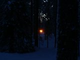 Le froid - Photo de Fredleglobetrotter