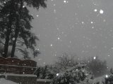 Juste pour le plaisir de participer, chute de neige!