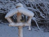 photo Le froid de pat
