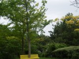 photo Les bancs publics de sofie