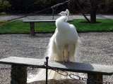 Les bancs publics - Photo de Mimiourse