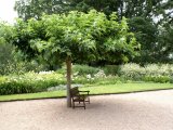 photo Les bancs publics de Majo51