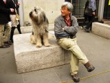 photo Les bancs publics de Blu-M
