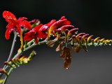 http://www.fou-de-voyage.com/photo/concours/20130301480-apres-la-pluie.jpg