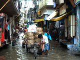 http://www.fou-de-voyage.com/photo/concours/20130302949-apres-la-pluie.jpg