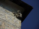 photo  de Cadurcienne