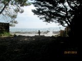 photo  de vini